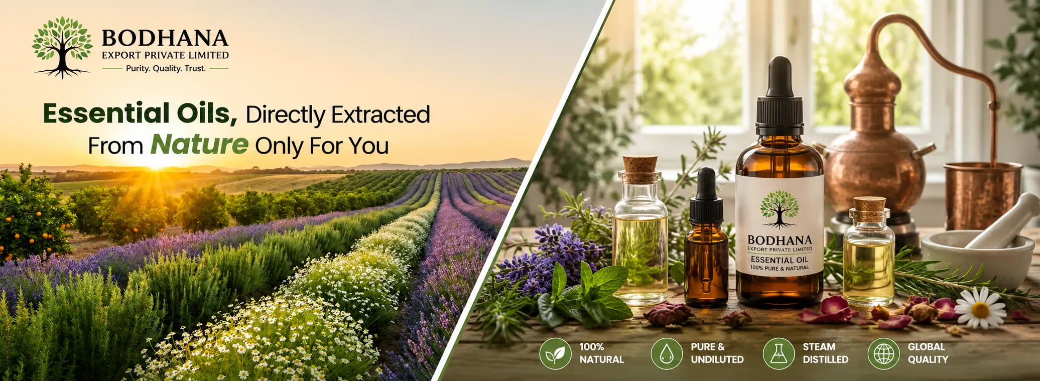 Spice Oil Manufacturers