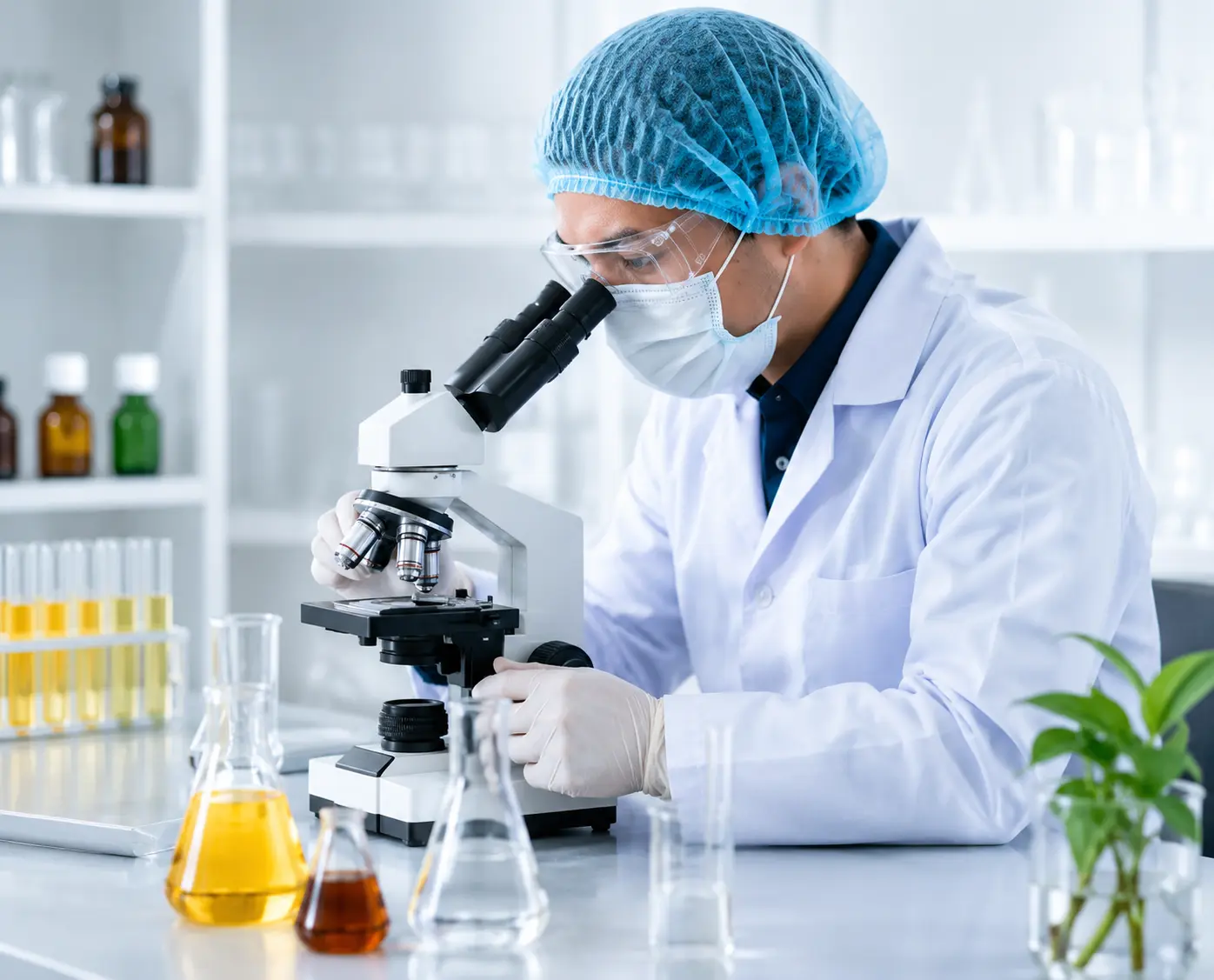 Quality Assurance Testing