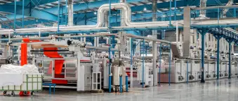 Bodhana Export Production Plant