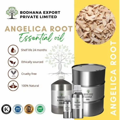 Angelica Essential Oil Manufacturers