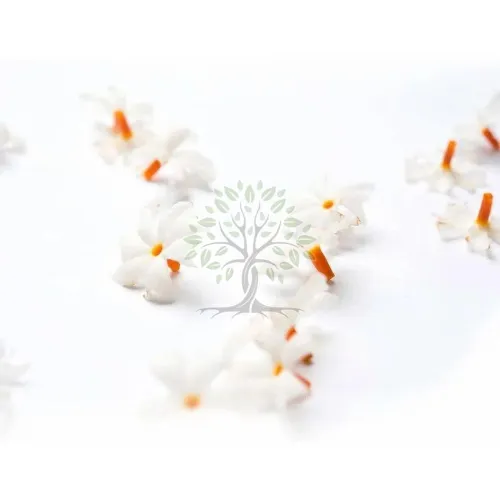 Essential Oil - Image 3