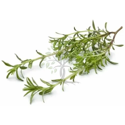 Essential Oil - Image 3
