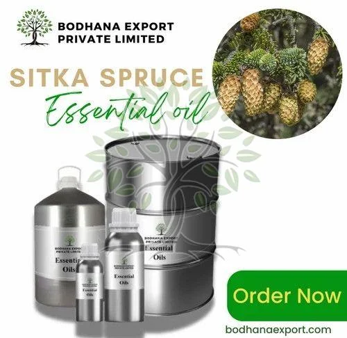 Sitka Spruce Essential Oil Manufacturers