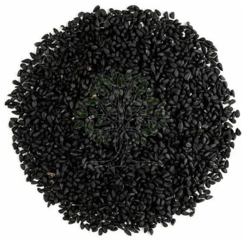 Carrier Oil - Image 3
