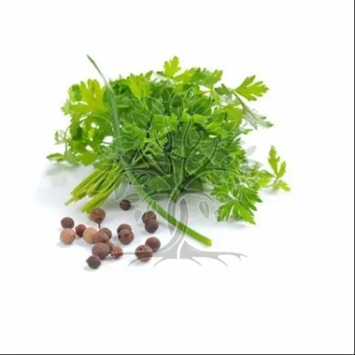 Parsley Seed Essential Oil In Nairobi