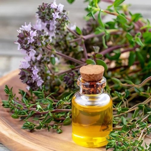 Thyme Hydrosol Manufacturers