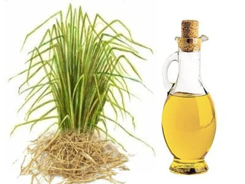 Vetiver Hydrosol Manufacturers
