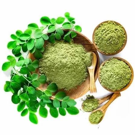 Moringa Leaf Extract Manufacturers