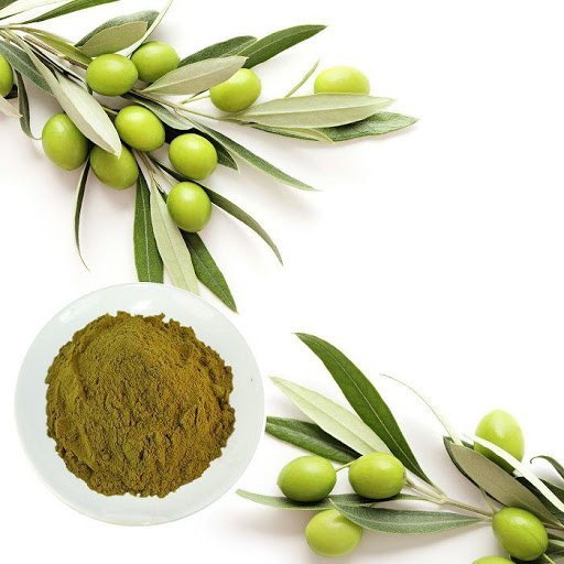 Olive Leaf Extract Manufacturers