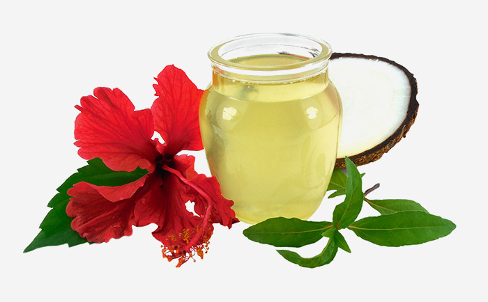 Hibiscus Oil Manufacturers