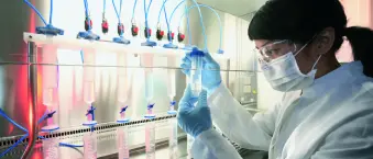 Bodhana Export Research and Development